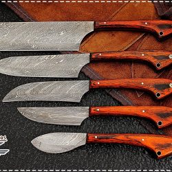 Professional Kitchen Chef Knife Set with 5 Pocket Case