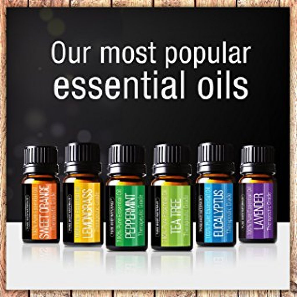 Pure Body Naturals Essential Oils Gift Set Best Offer Beauty, Health ...