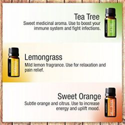 Pure Body Naturals Essential Oils Gift Set
