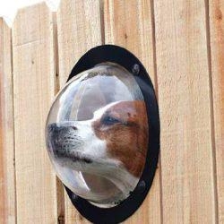 PetPeek Fence Window for Pets