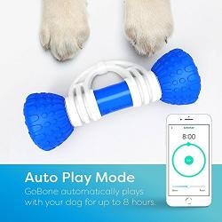 App-Enabled Smart Bone for Dogs