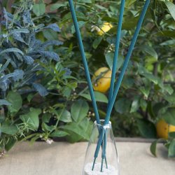 Not In My Backyard Citronella Sticks