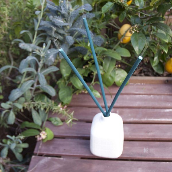 Not In My Backyard Citronella Sticks