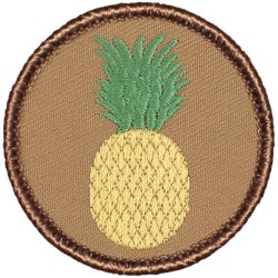 Pineapple Patrol Patch - Round!