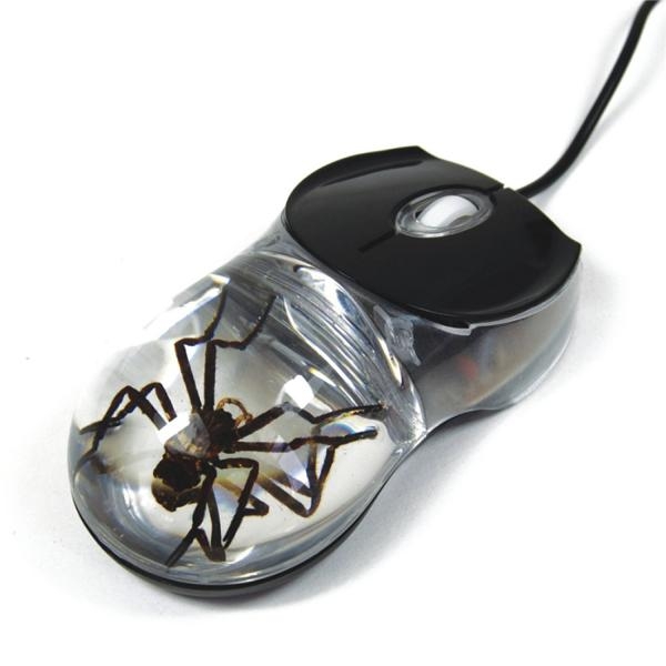 Spider Computer Mouse with Clear Background