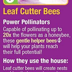better Gardens Beneficial Insect House for Pollinators