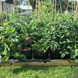 FABRIC AERATION GARDEN POTS