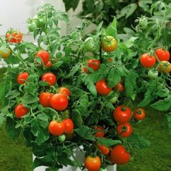 FABRIC AERATION GARDEN POTS