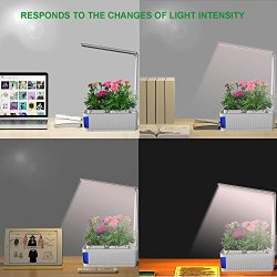 Soil Free Smart Herb Garden Hydroponics Indoor Plant Growth