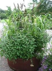 FABRIC AERATION GARDEN POTS