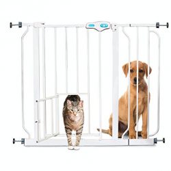 Carlson Extra Wide Walk Through Pet Gate with Small Pet Door