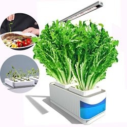 Soil Free Smart Herb Garden Hydroponics Indoor Plant Growth