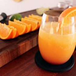 Drink Coasters by Barvivo Set of 8