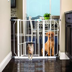 Carlson Extra Wide Walk Through Pet Gate with Small Pet Door