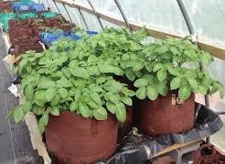 FABRIC AERATION GARDEN POTS