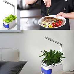 Soil Free Smart Herb Garden Hydroponics Indoor Plant Growth