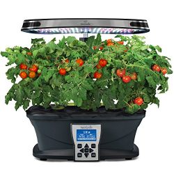 AeroGarden Ultra (LED) with Gourmet Herb Seed Pod Kit