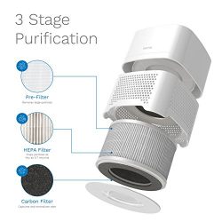 Portable Quiet Mini Air Purifier Ionizer to Reduce Mold, Odor, Smoke