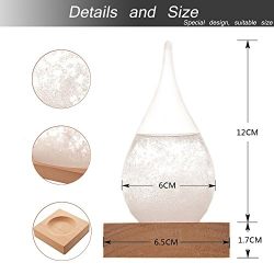 Century European Weather Forecast Storm Glass Weather Station