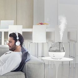 MistAire Silver Ultrasonic Cool Mist Humidifier