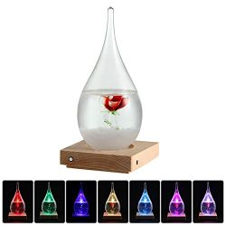 Pawaca Storm Glass, Water Drops Storm Glass Crafts Weather Bottle