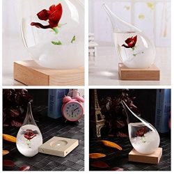Pawaca Storm Glass, Water Drops Storm Glass Crafts Weather Bottle