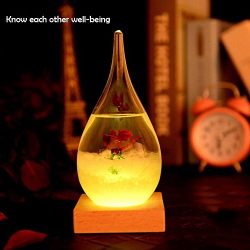 Pawaca Storm Glass, Water Drops Storm Glass Crafts Weather Bottle