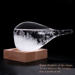 Century European Weather Forecast Storm Glass Weather Station