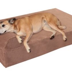 Big Barker 7" Orthopedic Dog Bed with Pillow-Top (Headrest Edition)