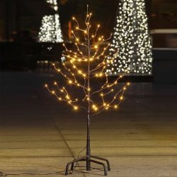 Lightshare 3Ft 112L Lighted Star Light Tree, Warm White, Brown Branch