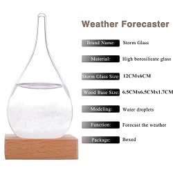 Century European Weather Forecast Storm Glass Weather Station