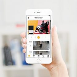 Petcube Bites Pet Camera with Treat Dispenser. As seen on TODAY & Ellen