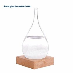 Century European Weather Forecast Storm Glass Weather Station