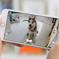 Petcube Bites Pet Camera with Treat Dispenser. As seen on TODAY & Ellen