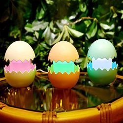 Fun Egg Humidifiers Color LED Lights Changing and Waterless Auto Shut-off