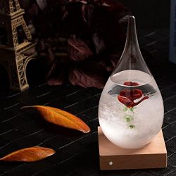 Pawaca Storm Glass, Water Drops Storm Glass Crafts Weather Bottle