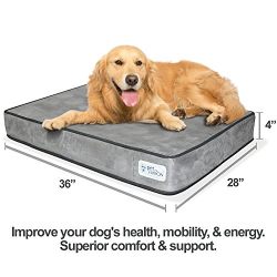 PetFusion Memory Foam Dog Bed & Lounge for large & medium dogs
