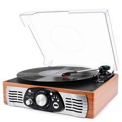 Belt-Drive 3-Speed Stereo Turntable with Built in Speakers, Natural Wood