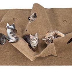 Cat Activity Play Mat - Fun Interactive Play - Training - Scratching - Thermal Bed Mat
