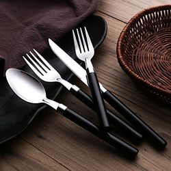 Moxinox 48 Piece Flatware Set Silverware Tableware Plastic Handle Steak Knife Spoons Forks Knives Box Fork with Cutlery Tray (Black)
