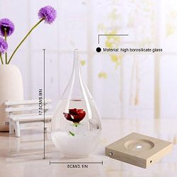 Pawaca Storm Glass, Water Drops Storm Glass Crafts Weather Bottle