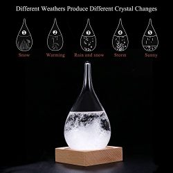 Century European Weather Forecast Storm Glass Weather Station