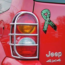 Green Zombie Plague Ribbon Car Magnet