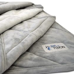 PetFusion Premium Plus Quilted Large Dog Blanket