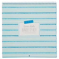 Hallmark Baby Boy Sticker and Photo 13-Month Calendar