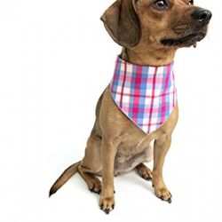 Tail Trends 4 Pack Pet Dog Bandanas Triangle Bib Scarf Assortment