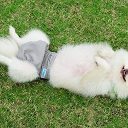 Reusable Washable Dog Diapers