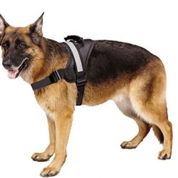 EXPAWLORER Big Dog Harness - Soft Reflective No Pull Black Size L 26-36 inch. 
