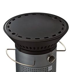 Fuego Cast Iron Griddle Plate Element