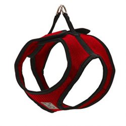 RC Pet Products Step in Cirque Soft Walking Dog Harness